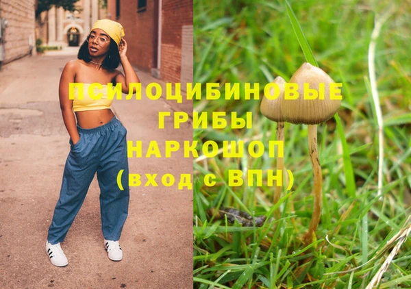 винт Абинск
