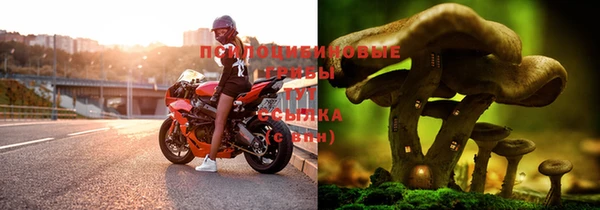 не бодяженный Абаза