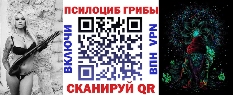 Псилоцибиновые грибы Cubensis  KRAKEN вход  Советск 