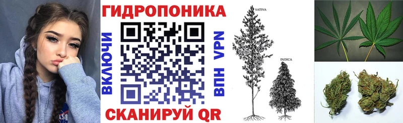 Канабис конопля  omg   Советск 